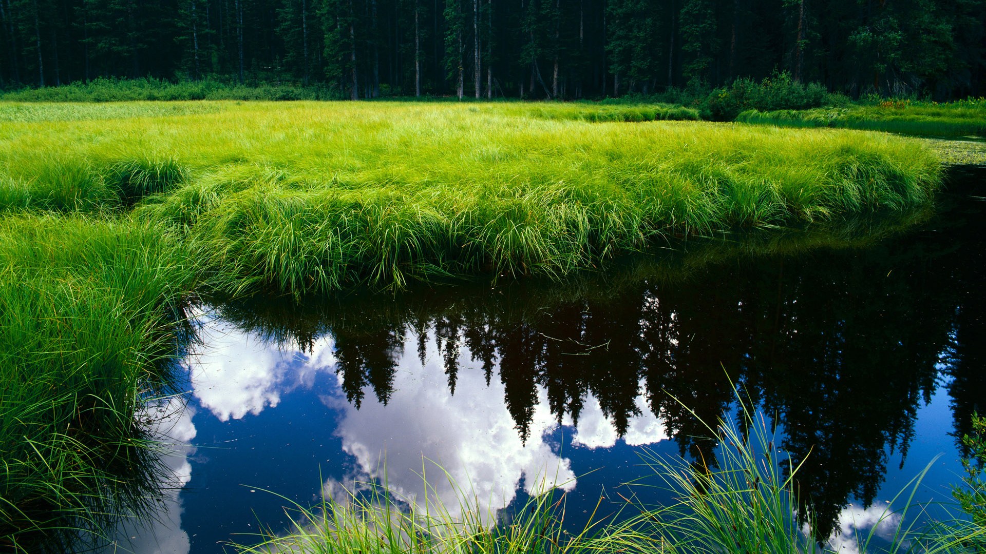 九游娱乐入口-西甲逆转绝杀：历史瞬间成就传奇，西甲逆变器质量怎么样