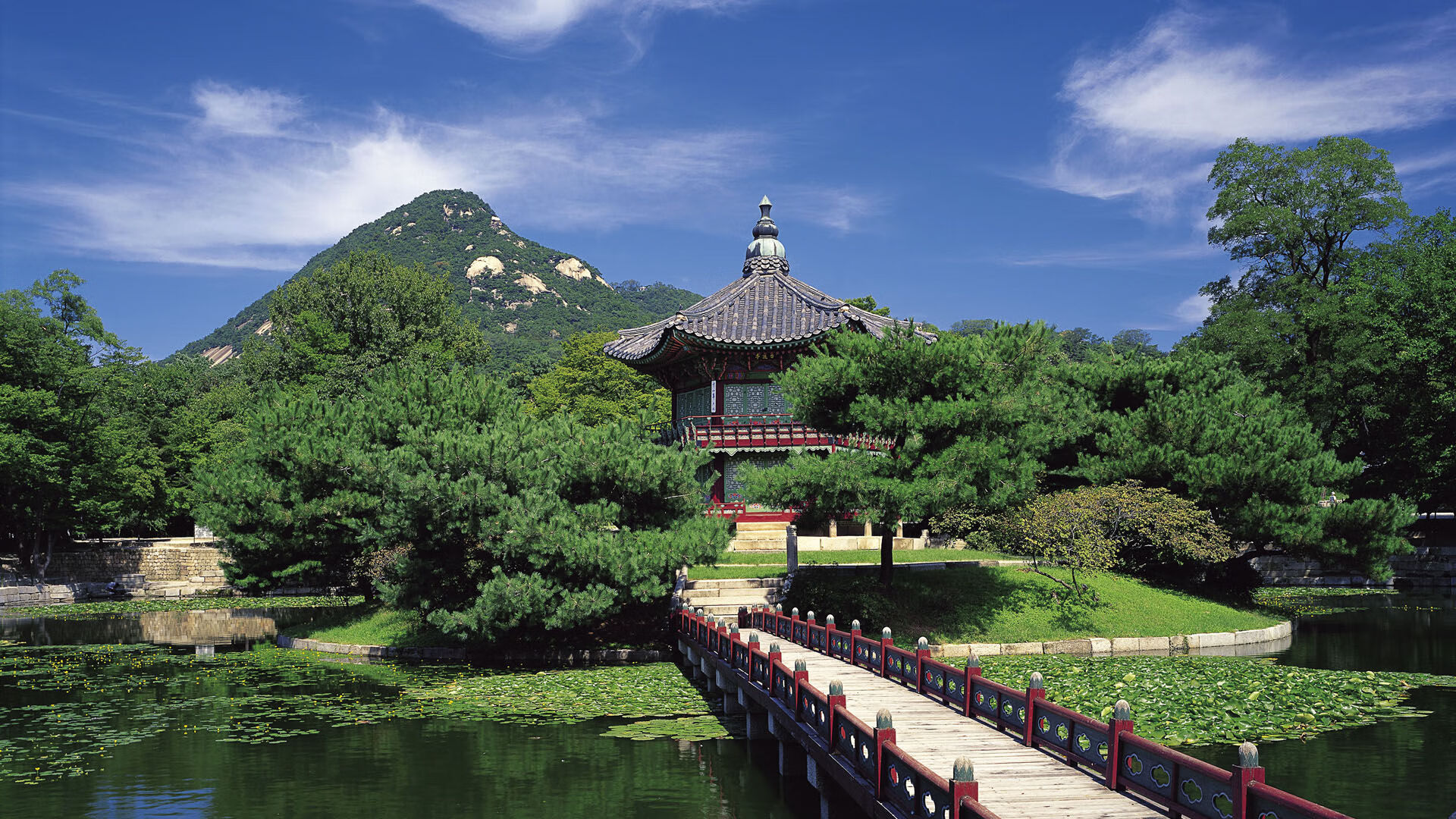 隆戈:从新西兰的希望到世界橄榄球的标志性人物